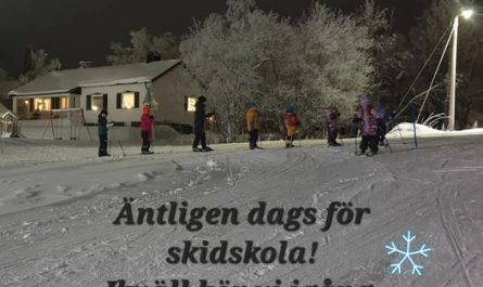 Skidskola